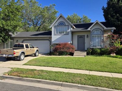 roommates needed