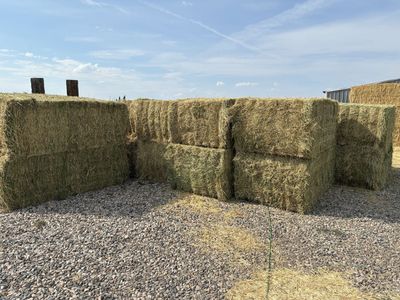 3x4x8 Alfalfa