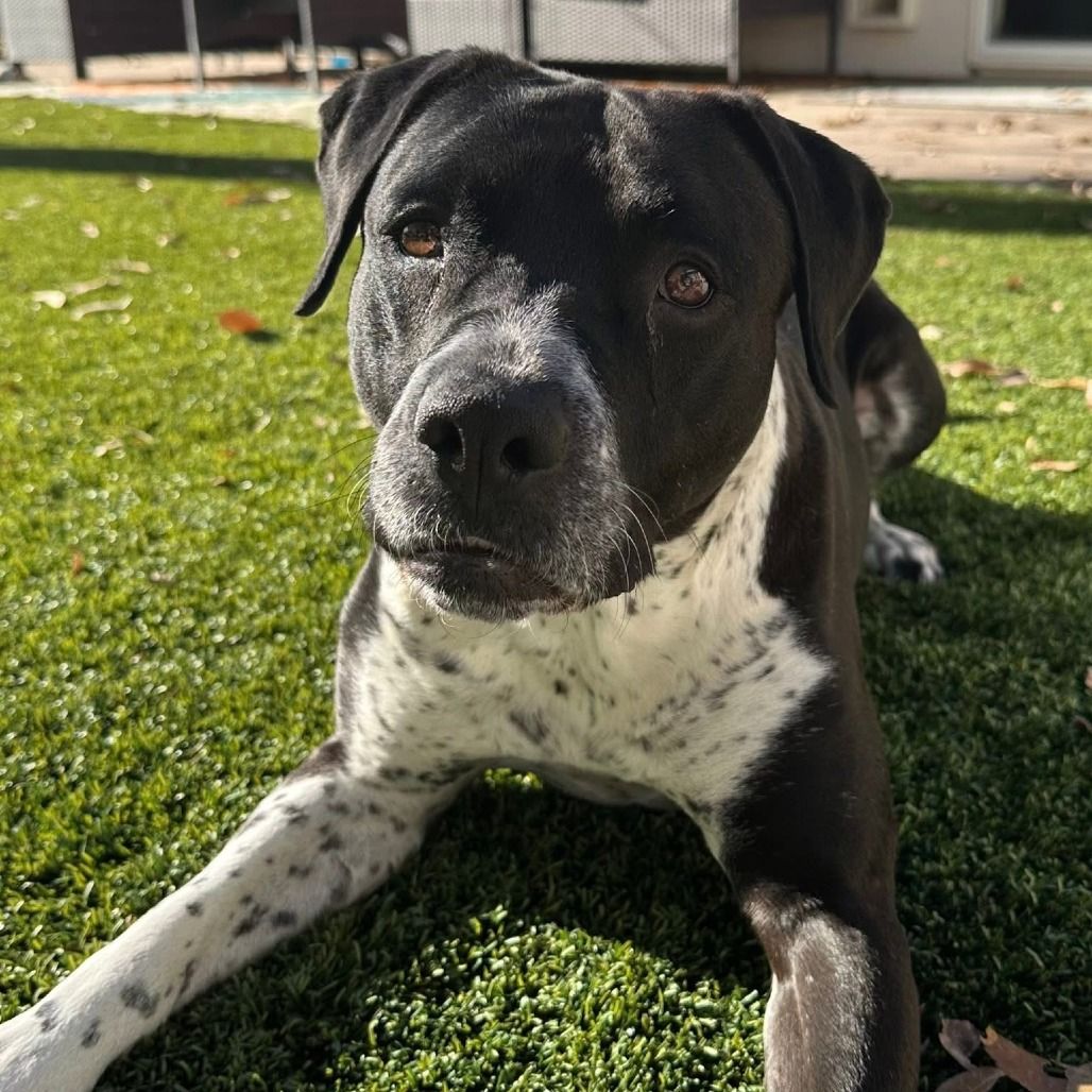 Hello my name is Bebe