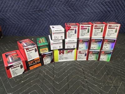 22 Cal Bullets.