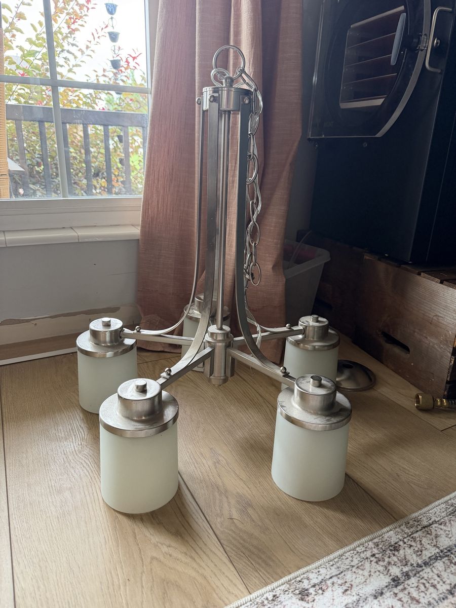 Chandelier pendant light FREE