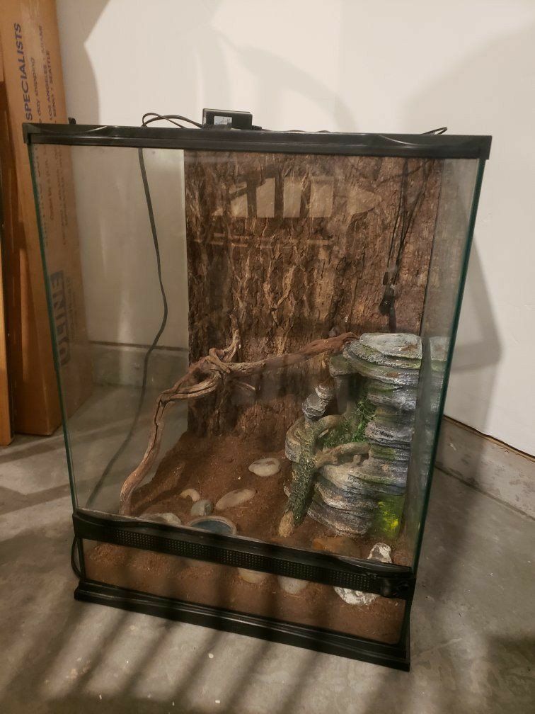 Terrarium