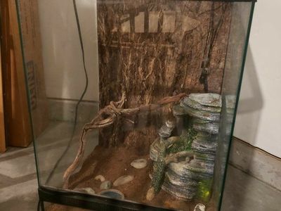 Terrarium