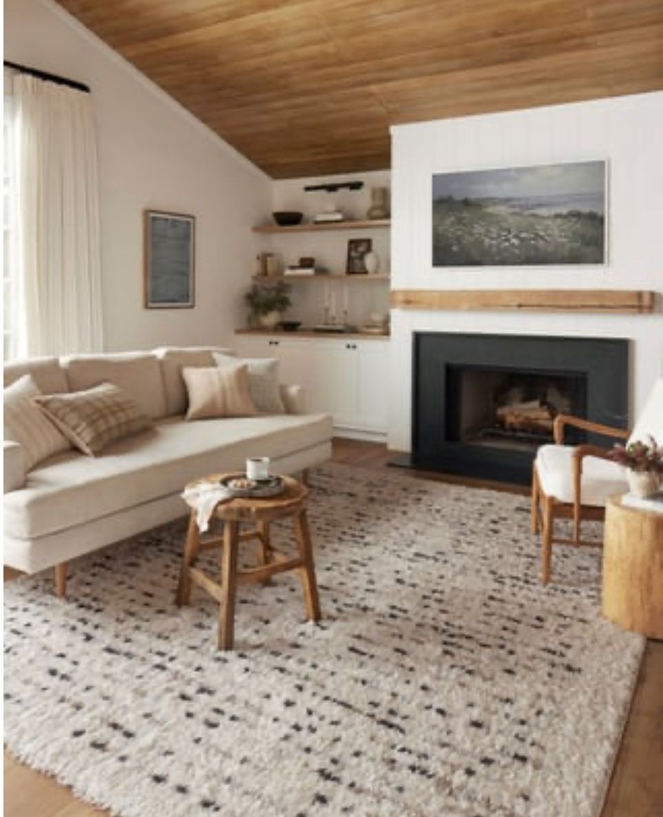 Loloi Amira 9x12 Area Rug