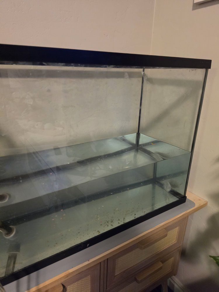 aquarium and accessories