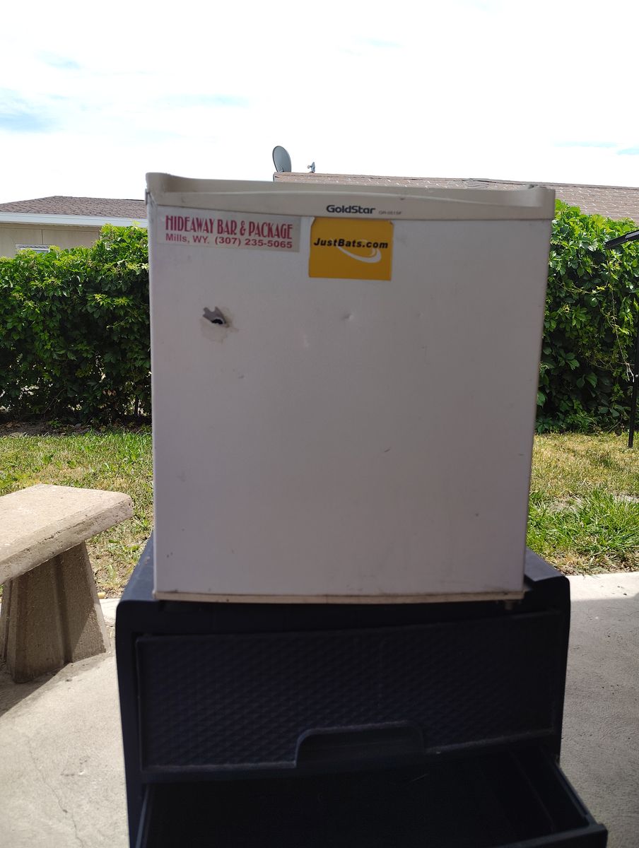 Mini fridge 2010