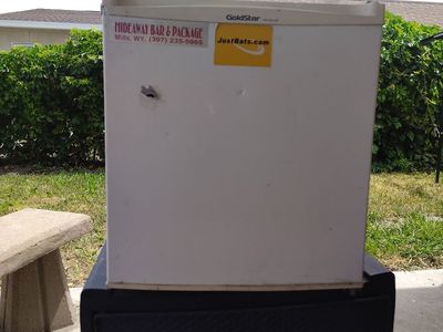 Mini fridge 2010