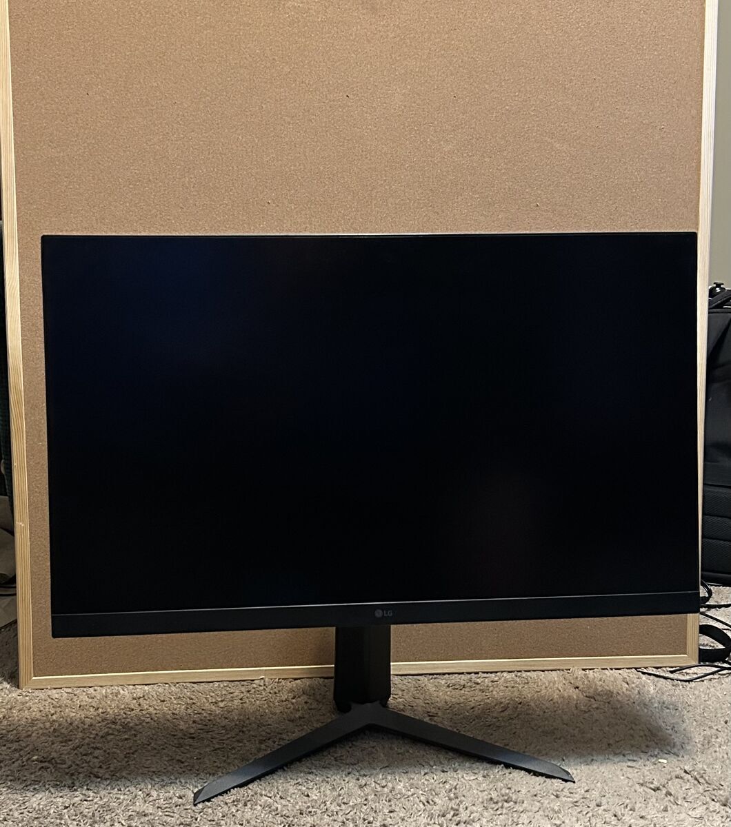 LG Ultra Gear Gaming Monitor