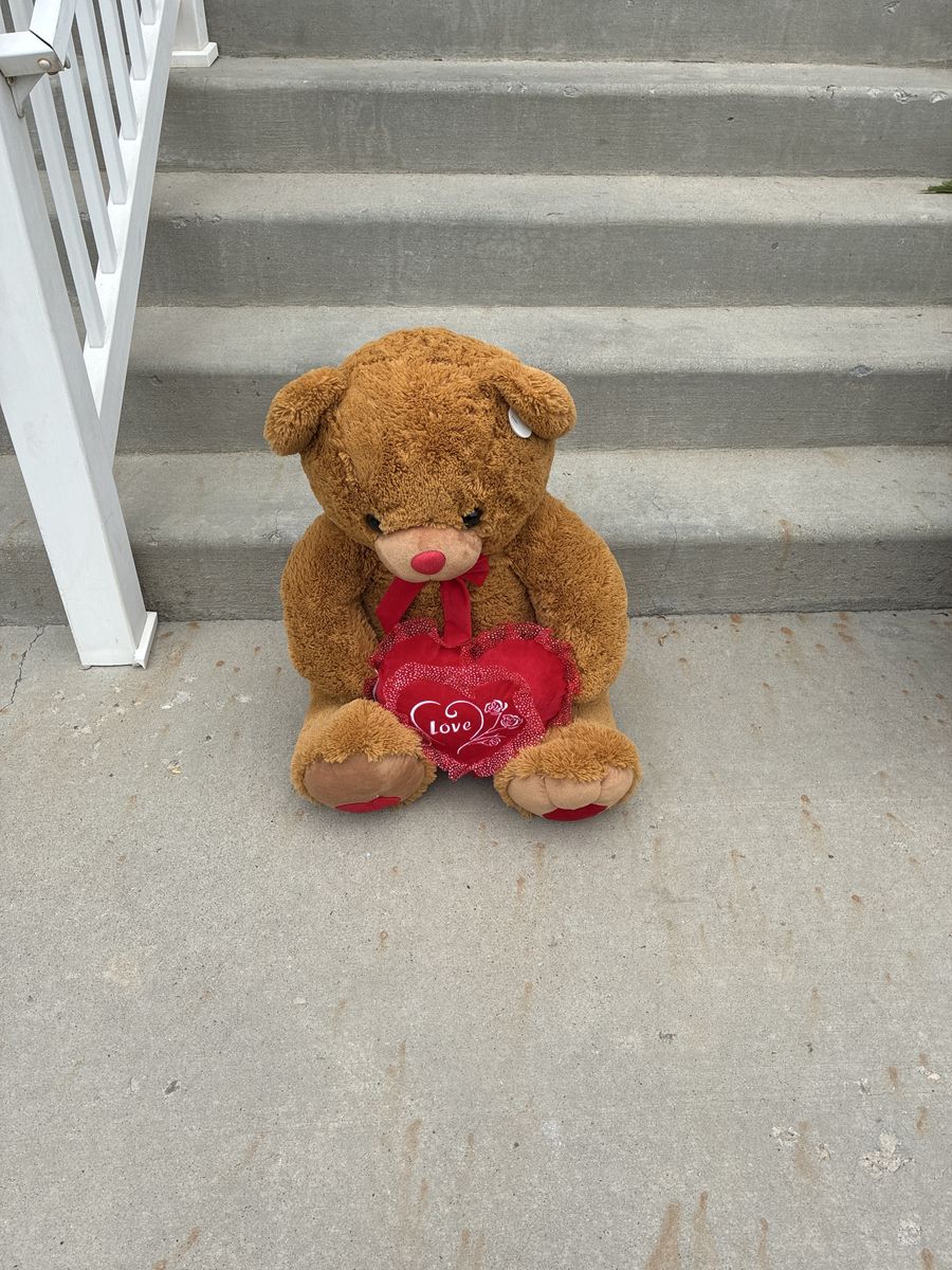 I Love You Teddy Bear