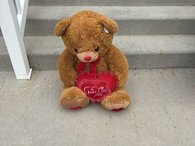 I Love You Teddy Bear