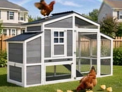 Brand new chicken house
