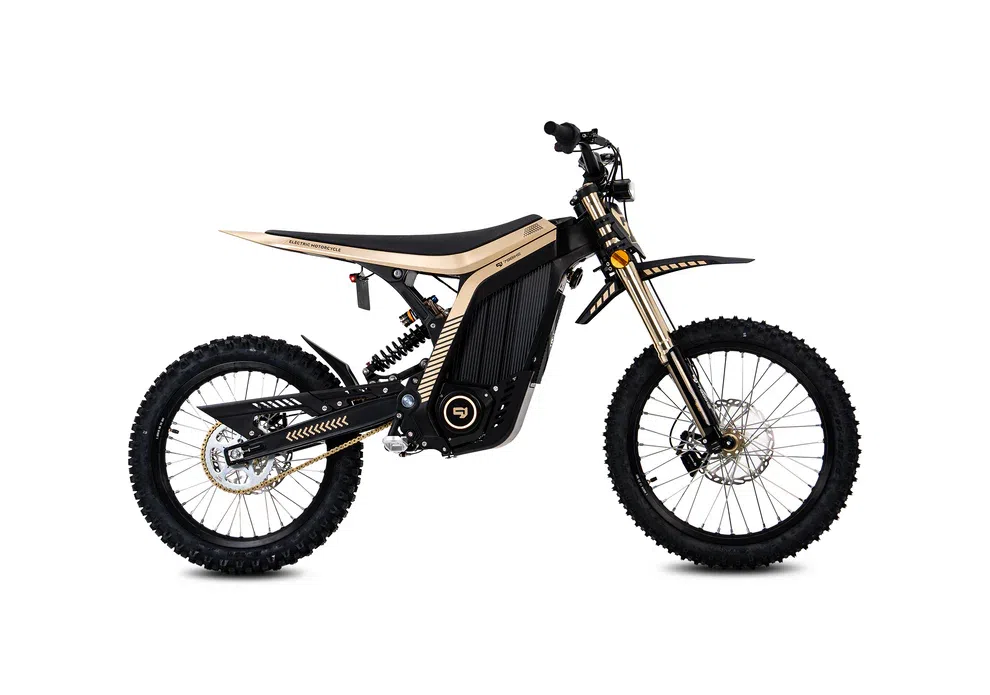 2026 E RIDE FALCON PRO BLACK/GOLD - E00690