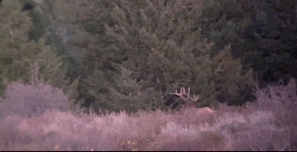 Looking For Private Land Hunting Access