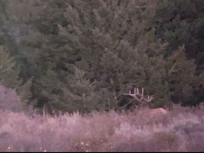 Looking For Private Land Hunting Access