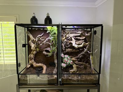 Front Opening Repti Zoo Glass Terrariums. (36x24x18) semi-bioactive + extras