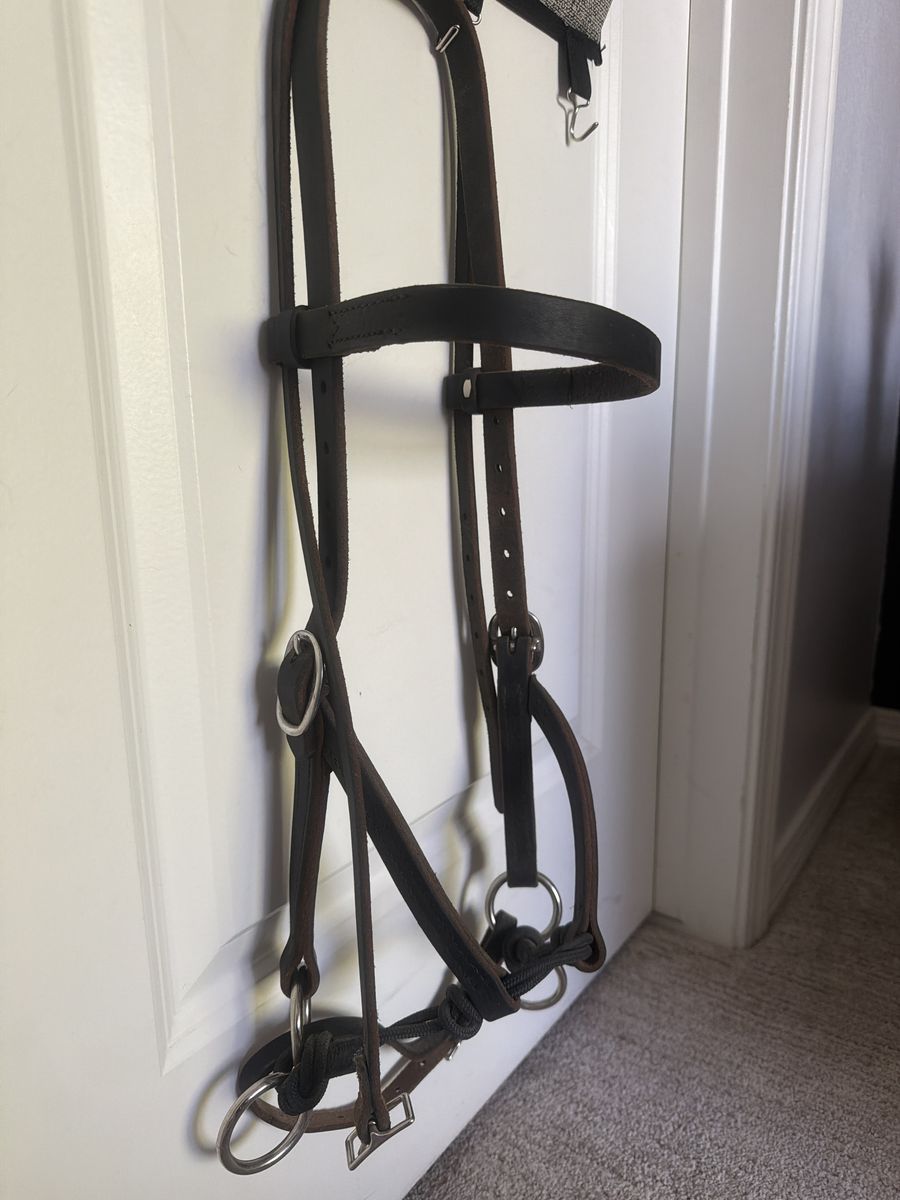 Bitless sidepull bridle
