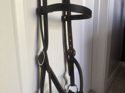 Bitless sidepull bridle