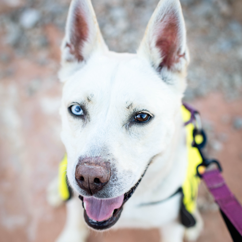 Hello my name is Uma