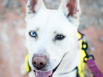 Hello my name is Uma