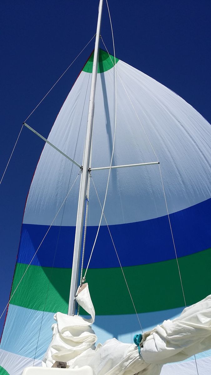 Main image 4