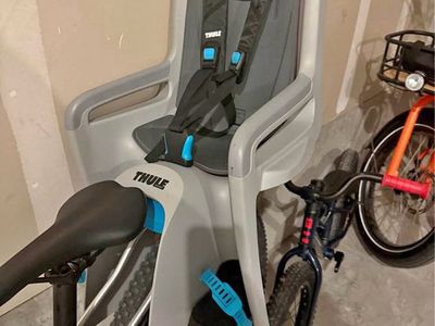 Thule Ride Along Child Bike Seat, Grey & Blue, Adjustable Harness