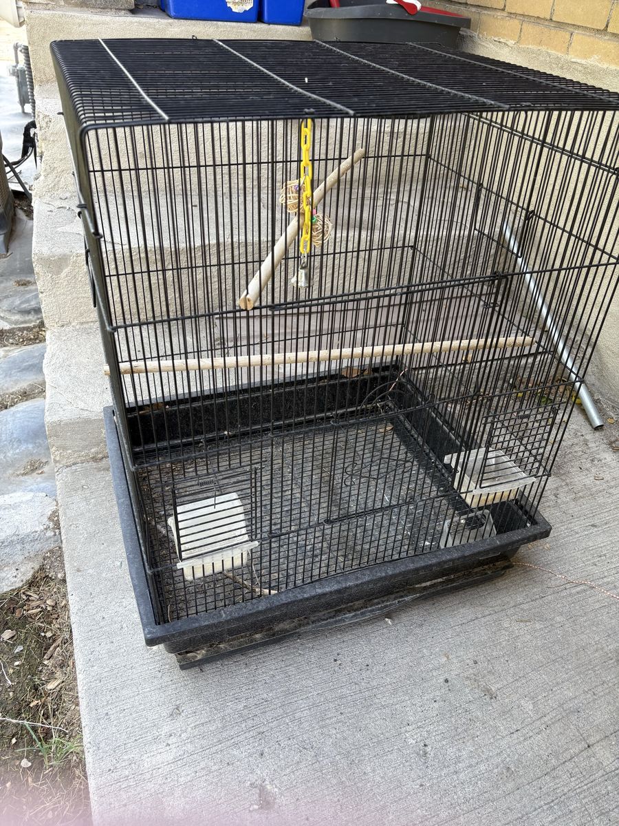 Bird Cage