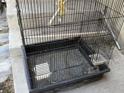Bird Cage