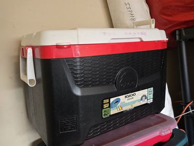 igloo Cooler