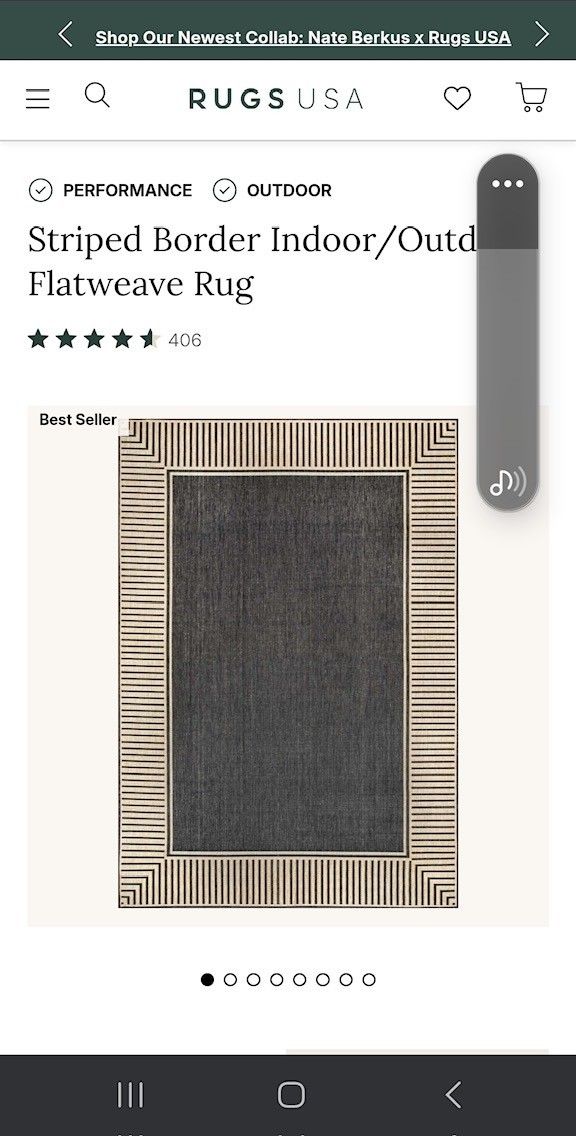 Brand new beautiful indoor/outdoor rug