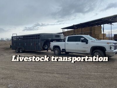 LivestocK Transportation