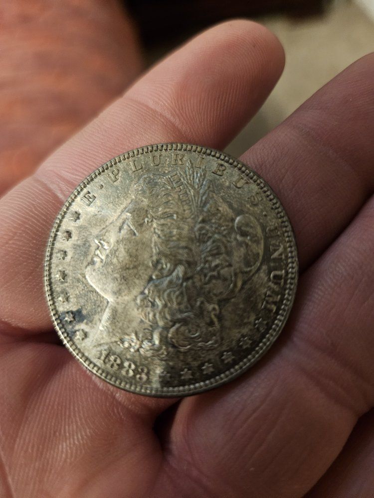 Main image 7