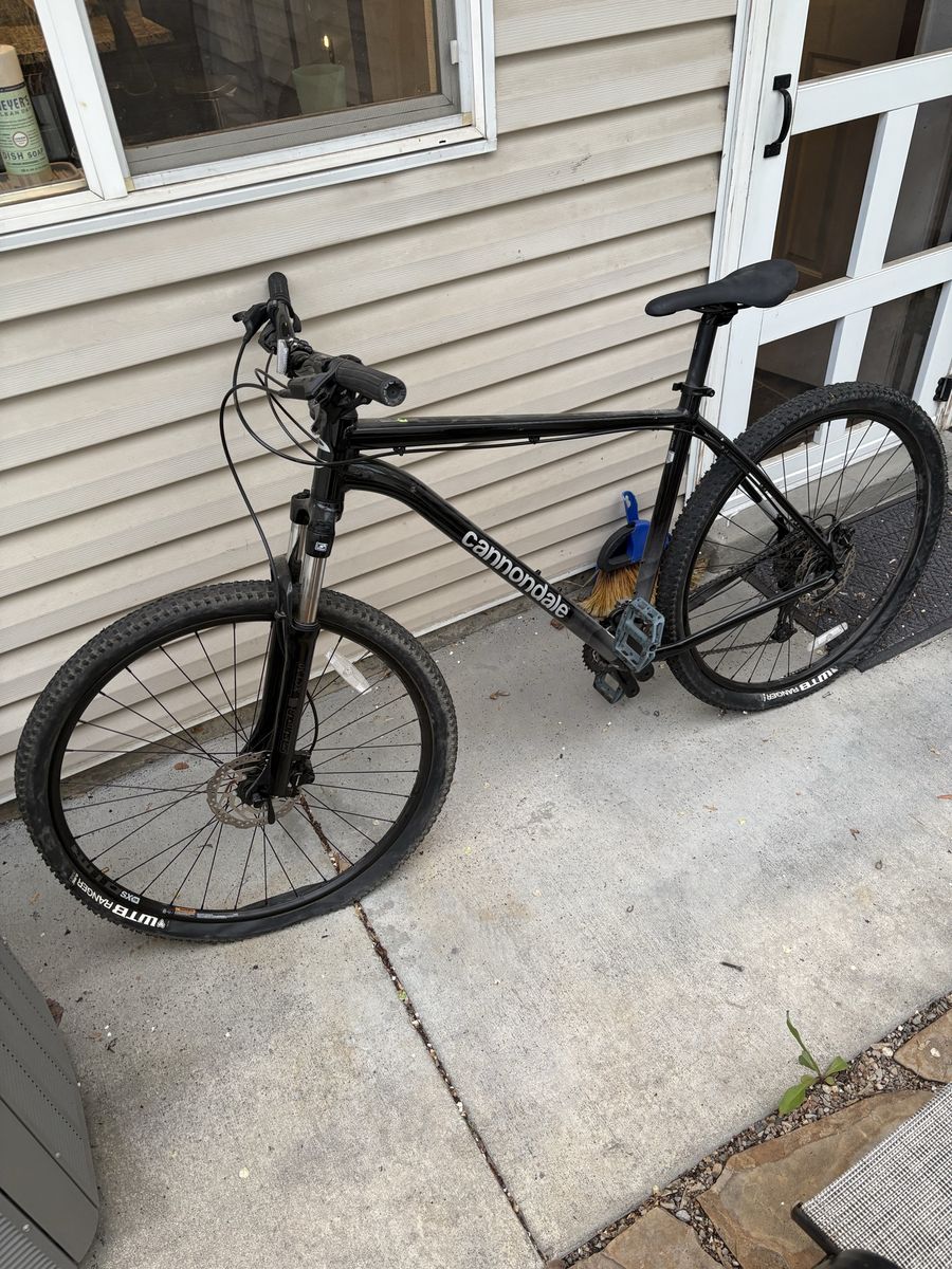 2020 Cannondale Hard Tail