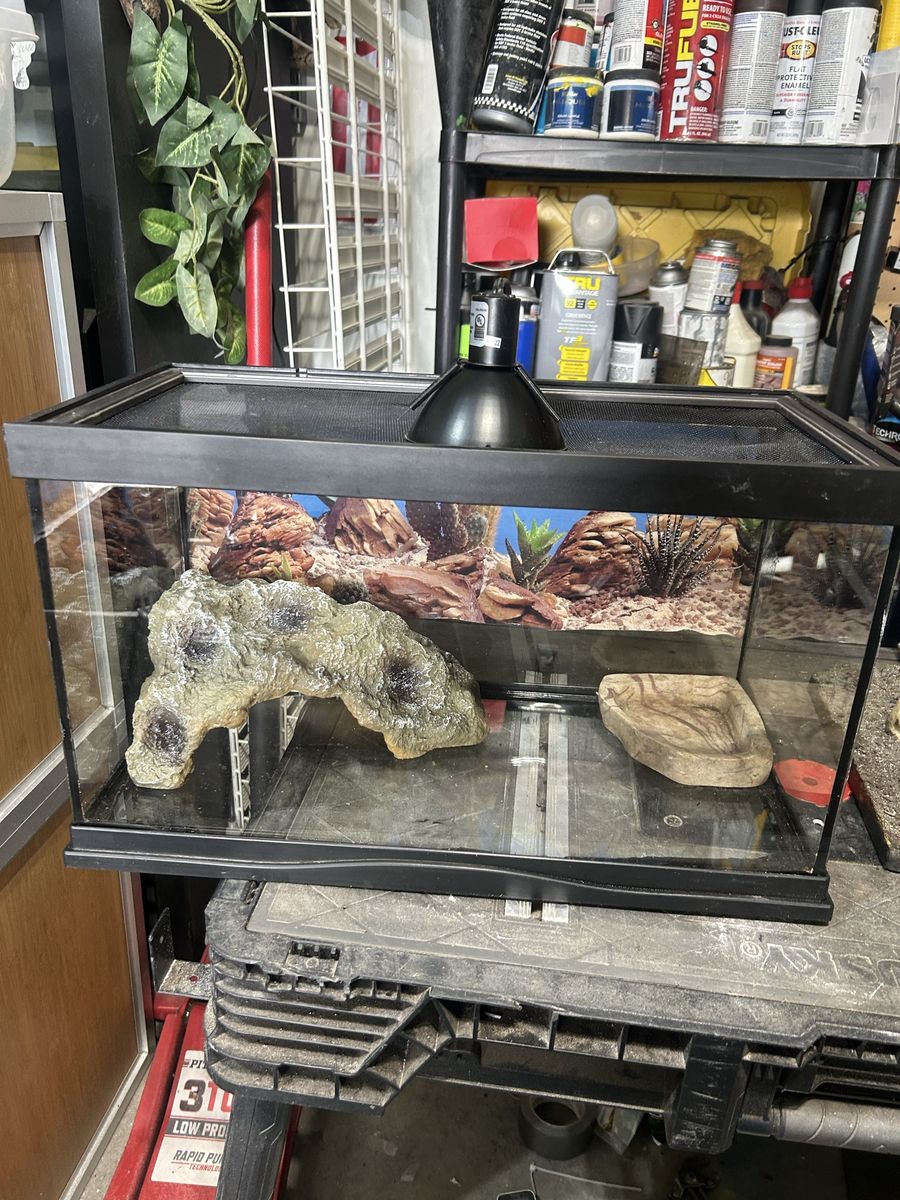 Reptile tank