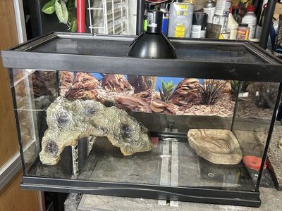 Reptile tank
