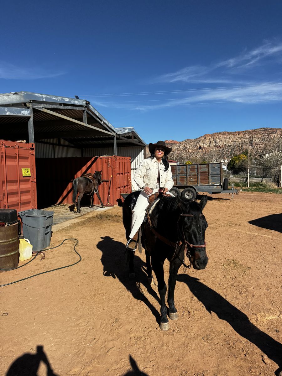 Shipping Container 8x40 8x20 New And Used