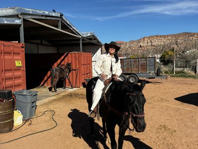 Shipping Container 8x40 8x20 New And Used