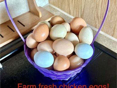 Free range chicken eggs!