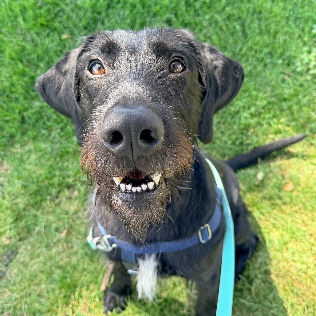 Hello my name is Zuko