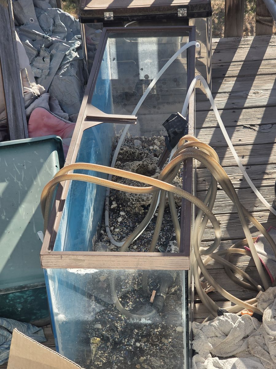 Free Aquarium