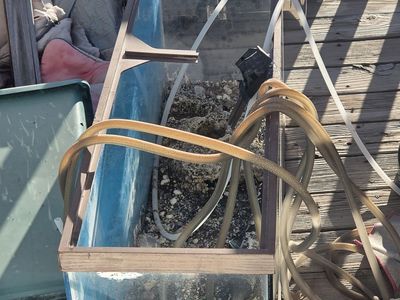 Free Aquarium