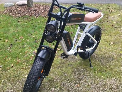 ENGWE M20 e-Bike Dual Battery