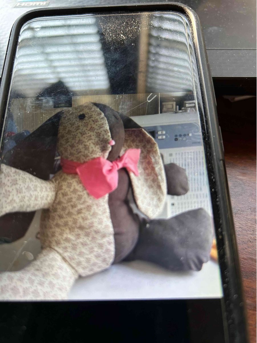 Memory bears and rabbits 