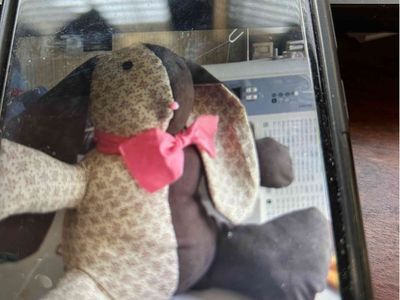 Memory bears and rabbits