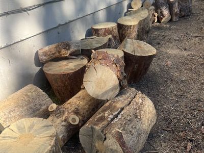 Fire Wood