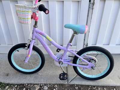 Girls Schwinn Bicycle