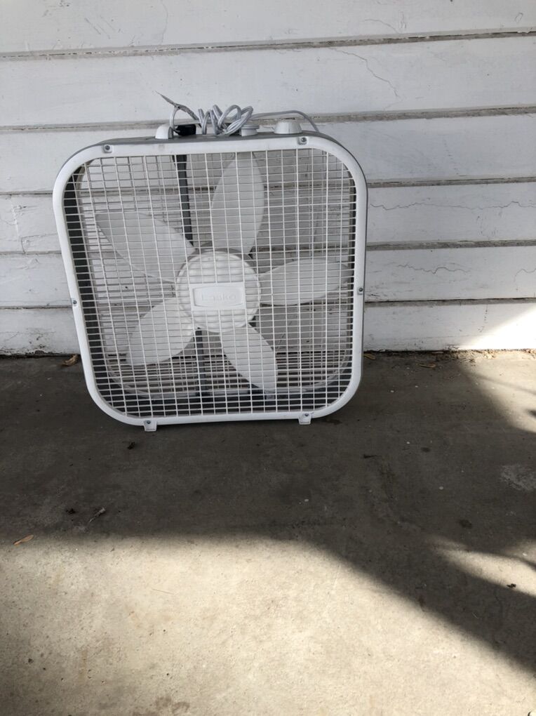 New White Fan