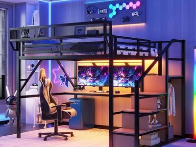 Queen Loft Bed, New in Box