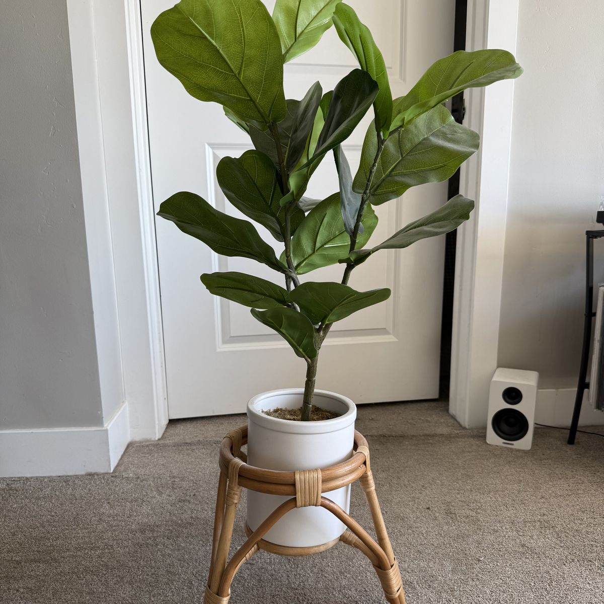 Fake plant