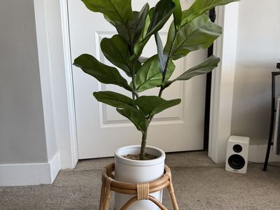 Fake plant