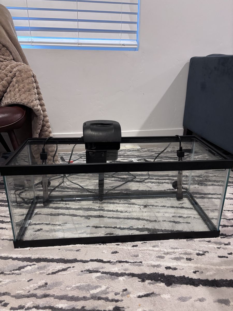 20 gallon long fish tank with filter and heaters